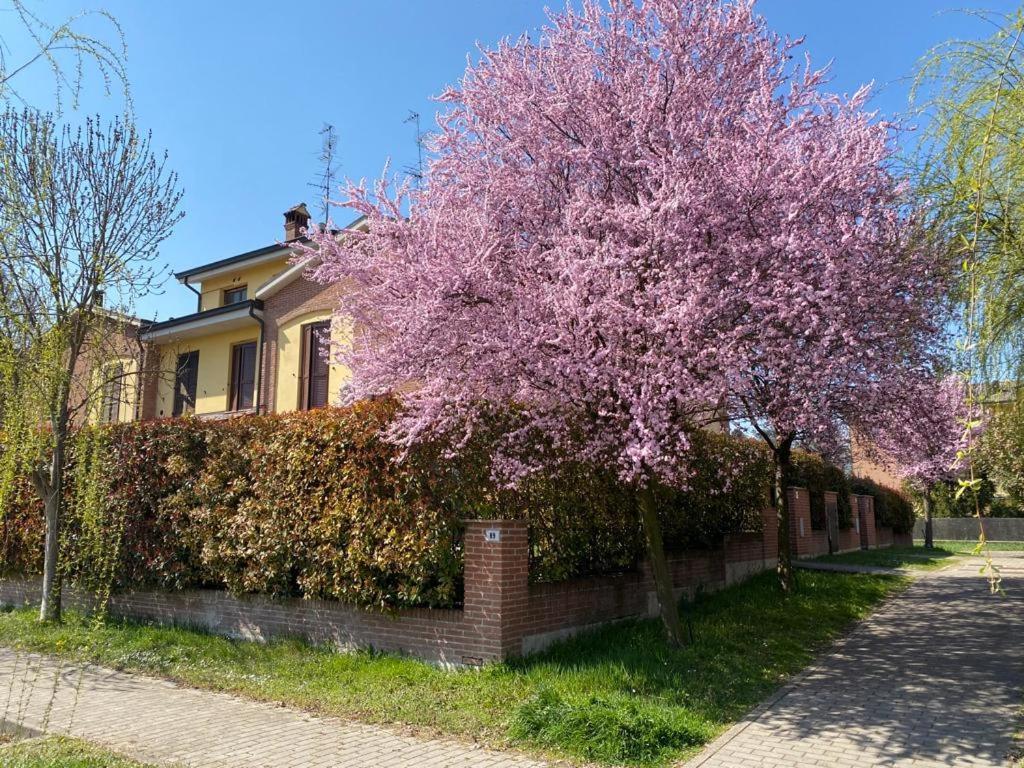 Suite Travel Home Modena Eksteriør bilde